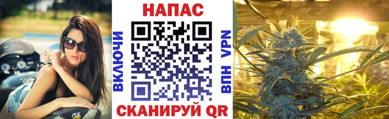 Каннабис гибрид  Кашира 